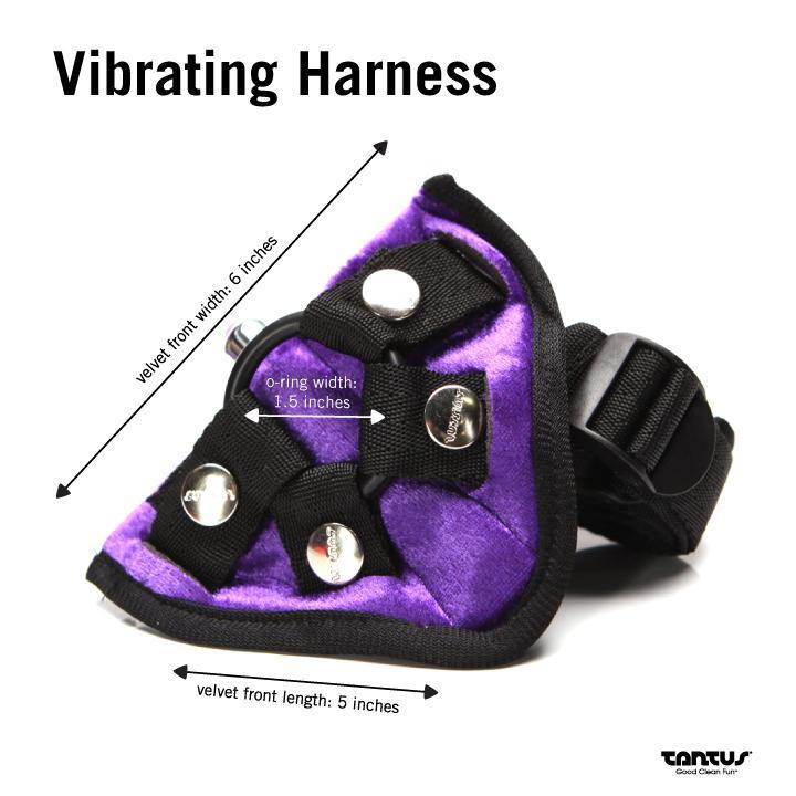 Dildo and Harness: "Bend Over" Intermediate Kit - Image 14