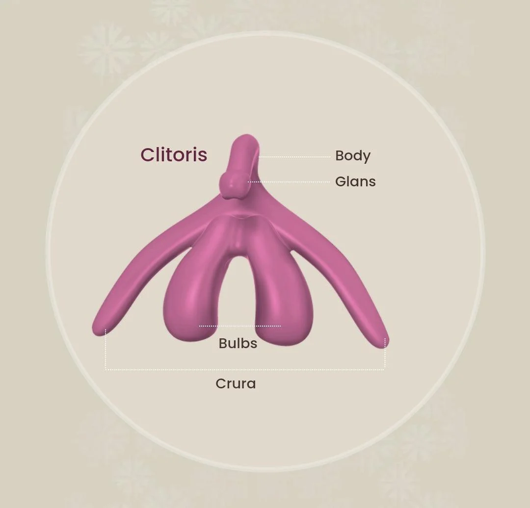 Cliterate Clitoris: Mini - Image 4