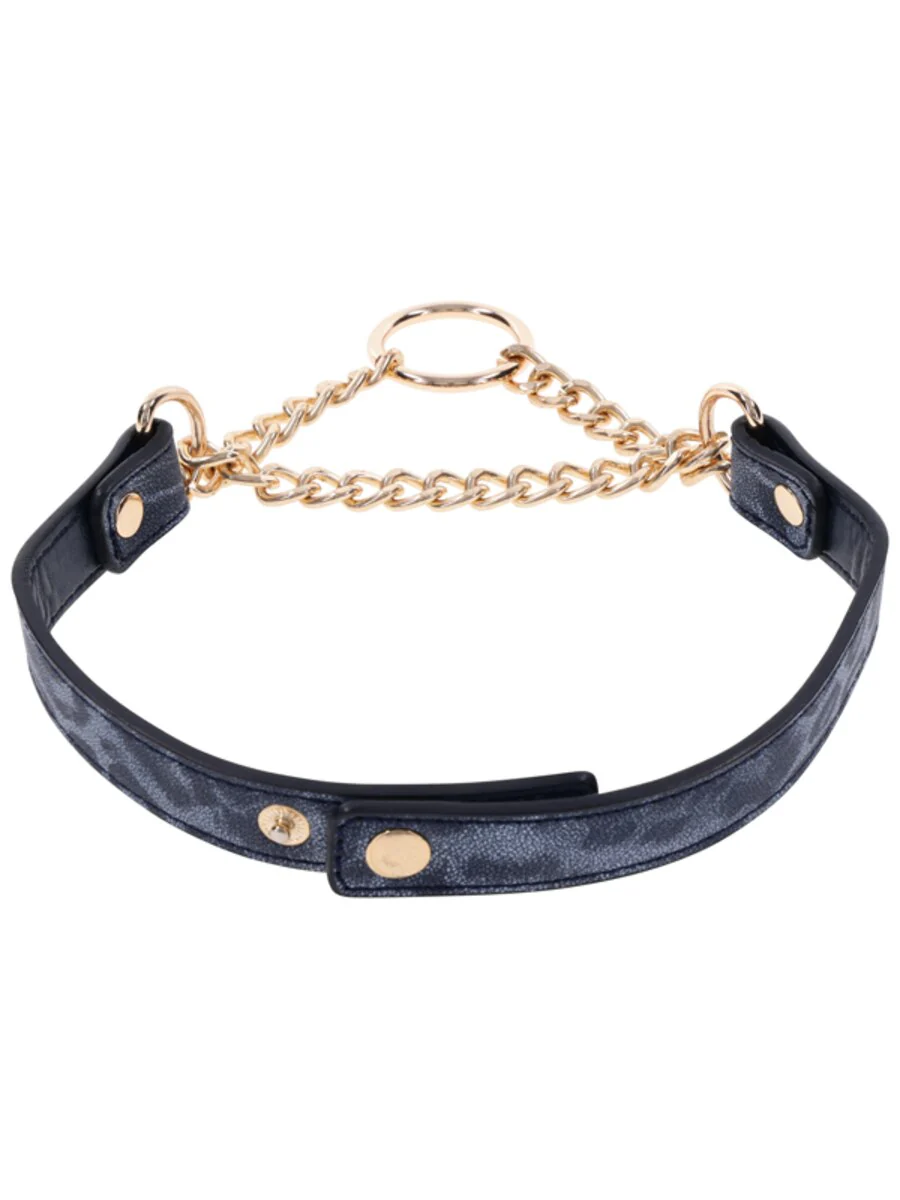 Cougar Day Collar - Image 3