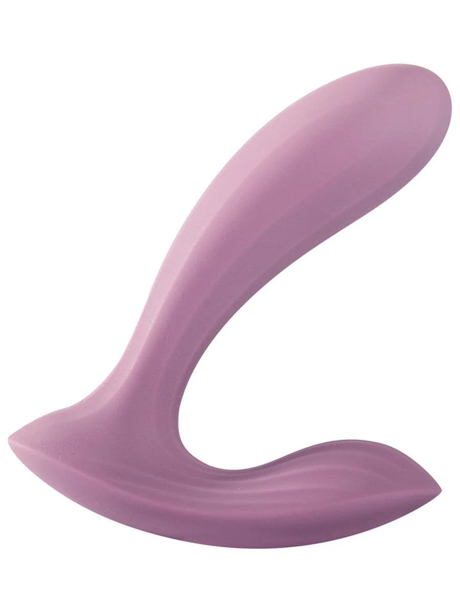 Erica: App Controlled - Image 10