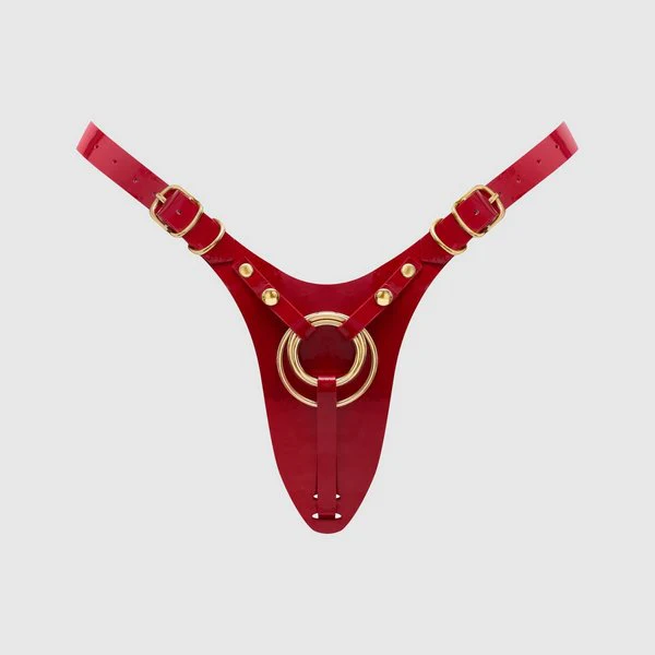 Fabulous Strap On Harness - Image 4