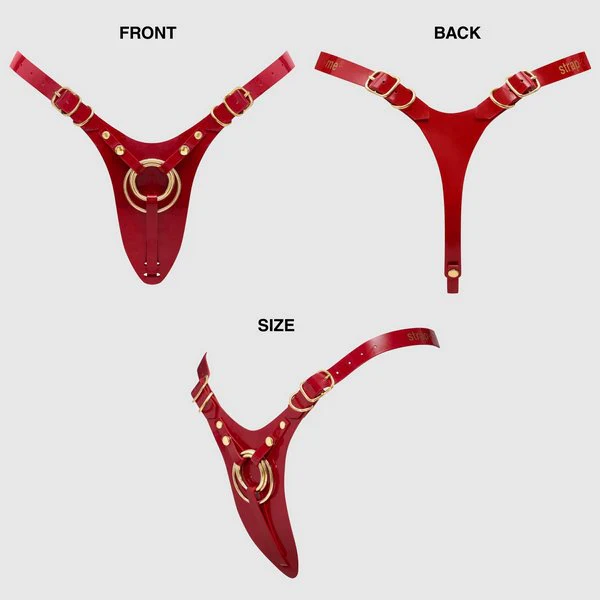 Fabulous Strap On Harness - Image 6