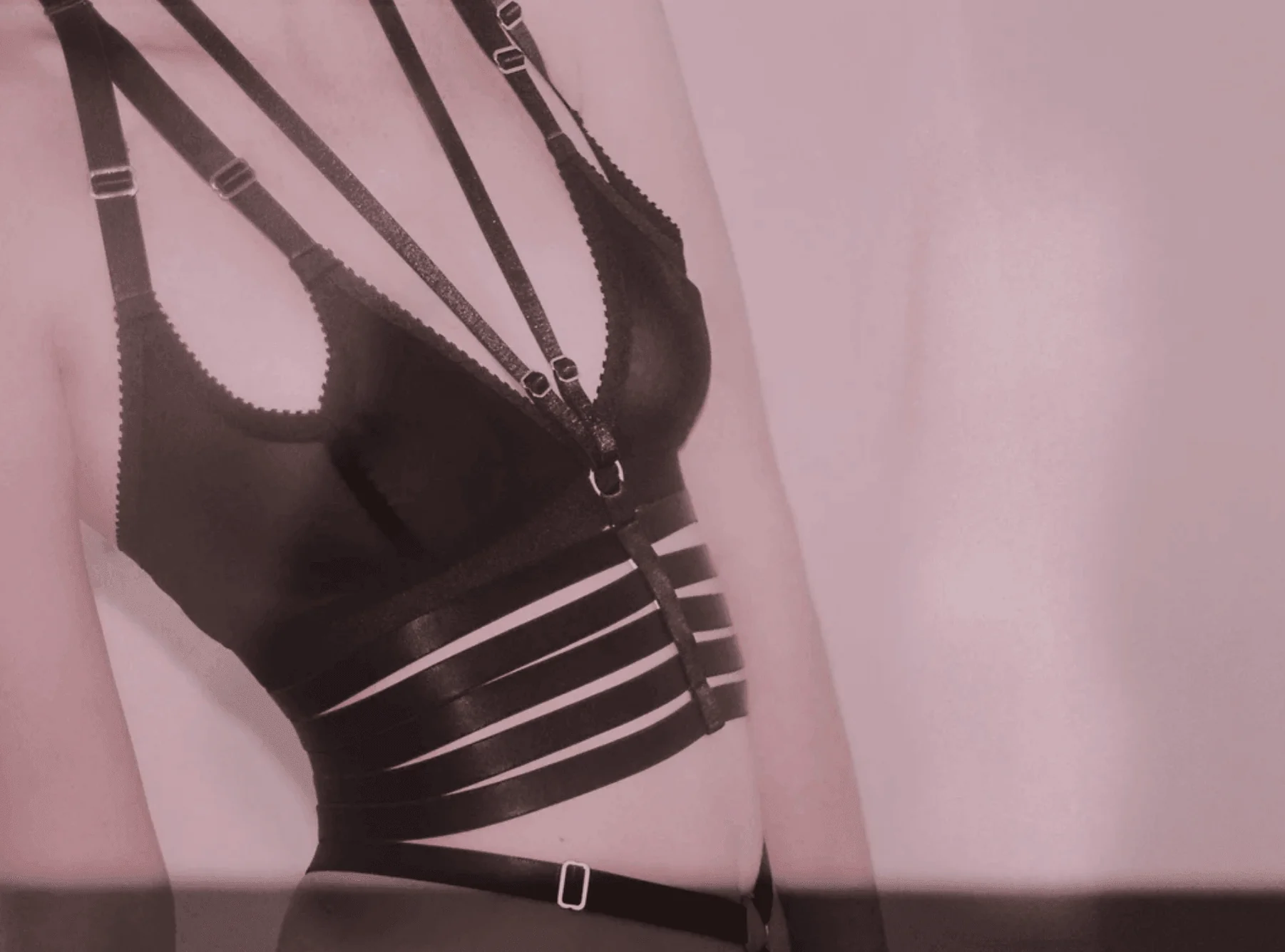 Lucy 2 Bralette: Sheer Mesh - Image 3