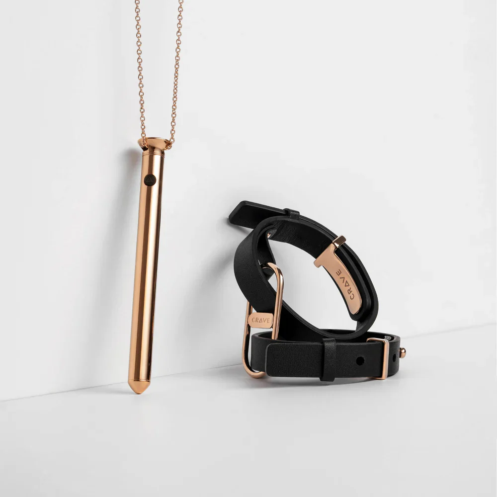 Pleasure Jewelry Gift Set - Image 2