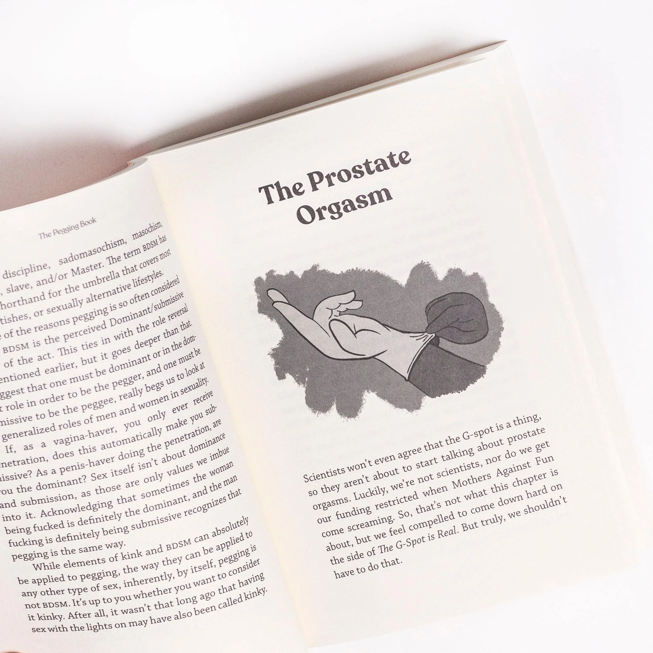 The Pegging Book : A Complete Guide to Anal Sex with a Strap-On Dildo - Image 2