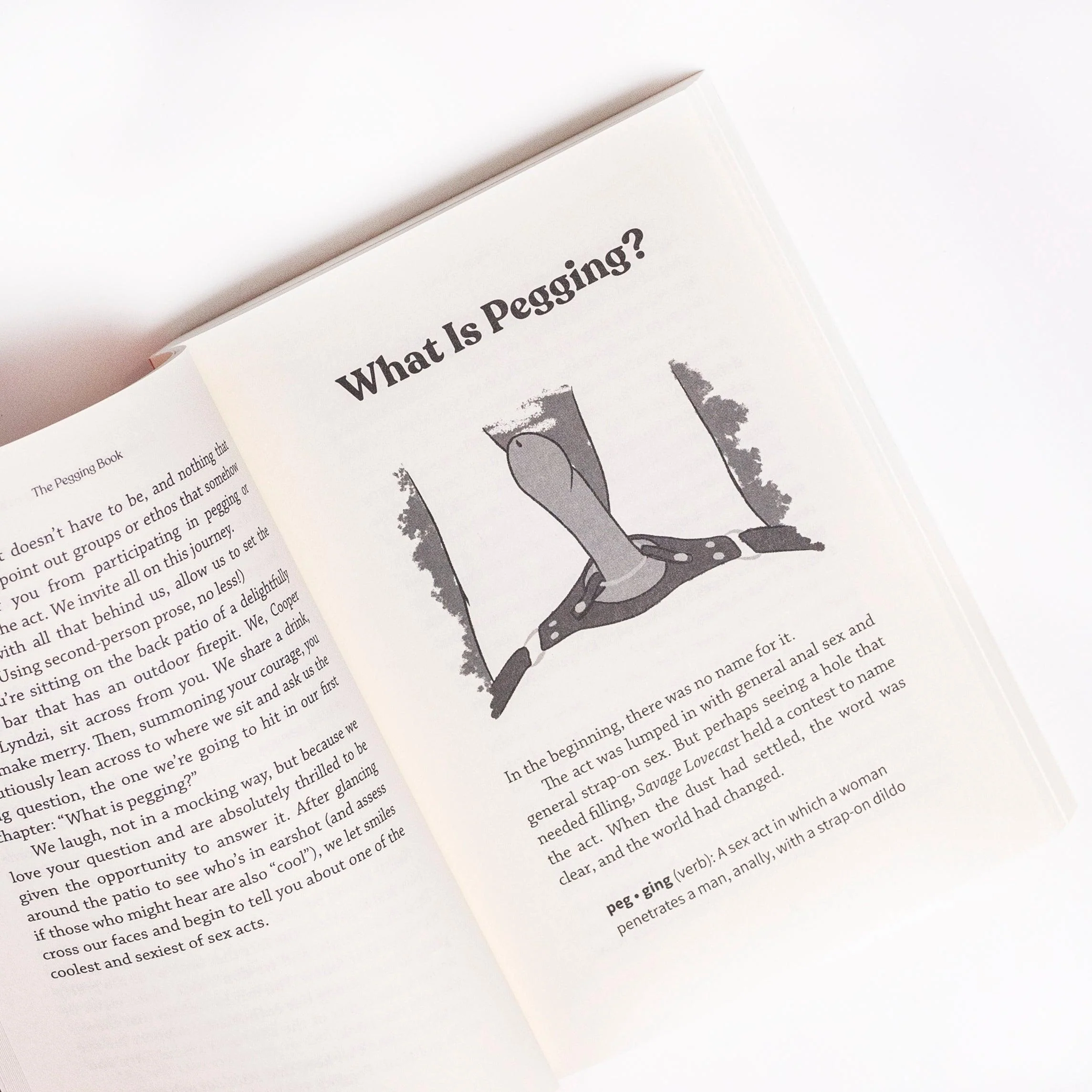 The Pegging Book : A Complete Guide to Anal Sex with a Strap-On Dildo - Image 4