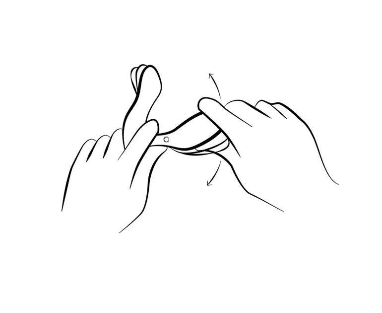 Vector+ Prostate Stimulator: App Controlled - Image 8